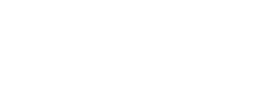 VIVI logo
